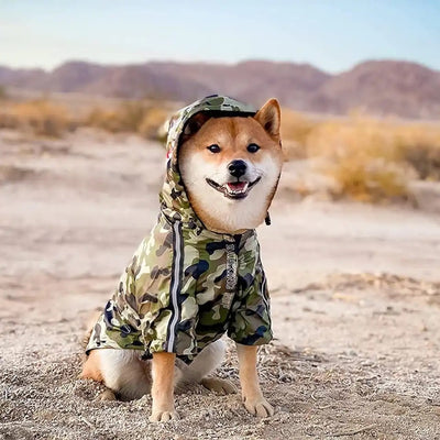 A Barking Pup Windbreaker - Camo