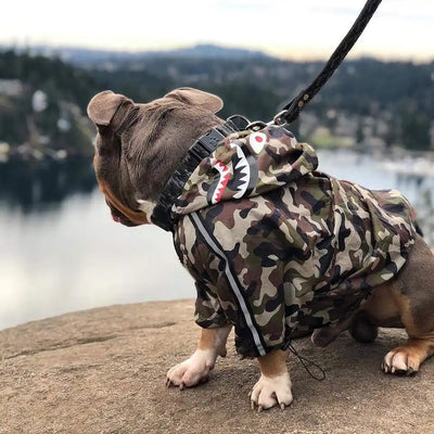 A Barking Pup Windbreaker - Camo