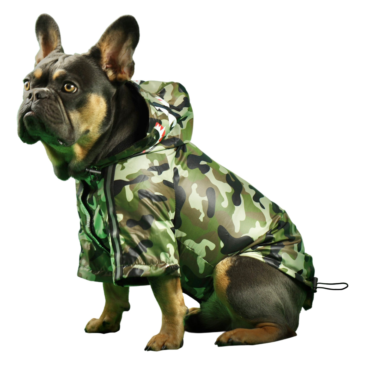 A Barking Pup Windbreaker - Camo