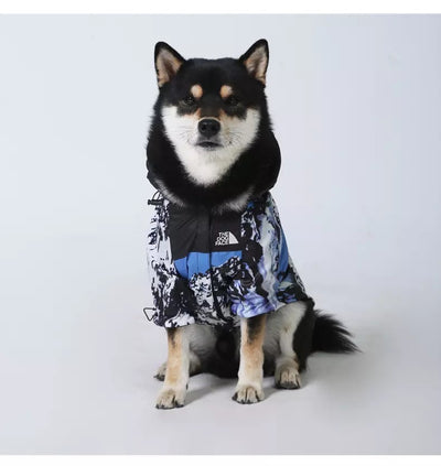 The Dog Face Windbreaker - Arctic Blue