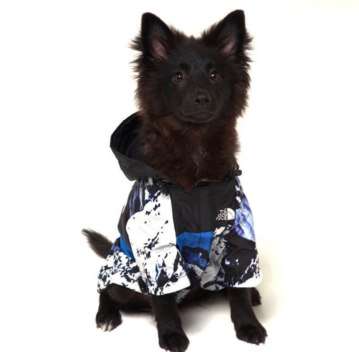 The Dog Face Windbreaker - Arctic Blue