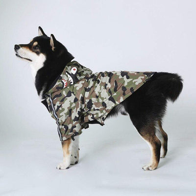 A Barking Pup Windbreaker - Camo